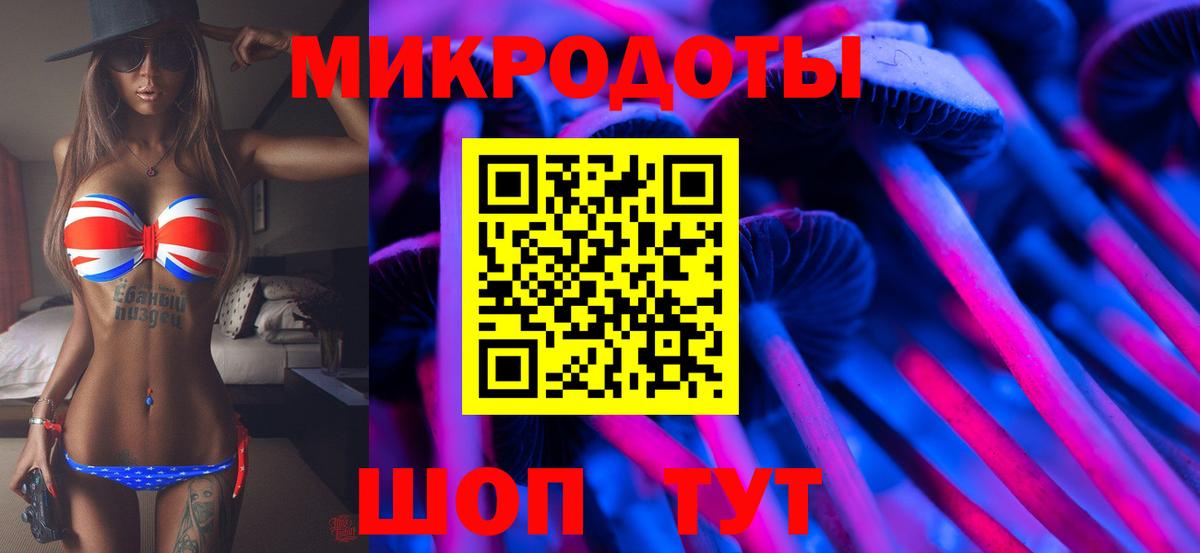 купить   Псилоцибиновые грибы GOLDEN TEACHER  Вход с VPN  Зима 